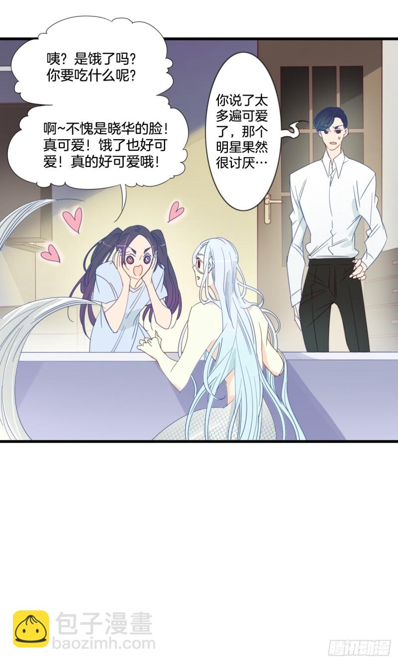 《家养美人》第十四话 第16页