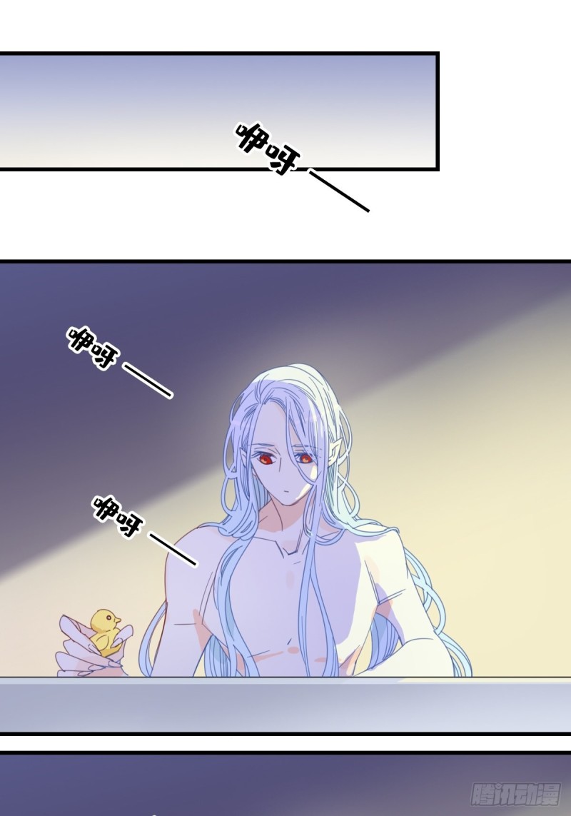 《家养美人》第十四话 第2页