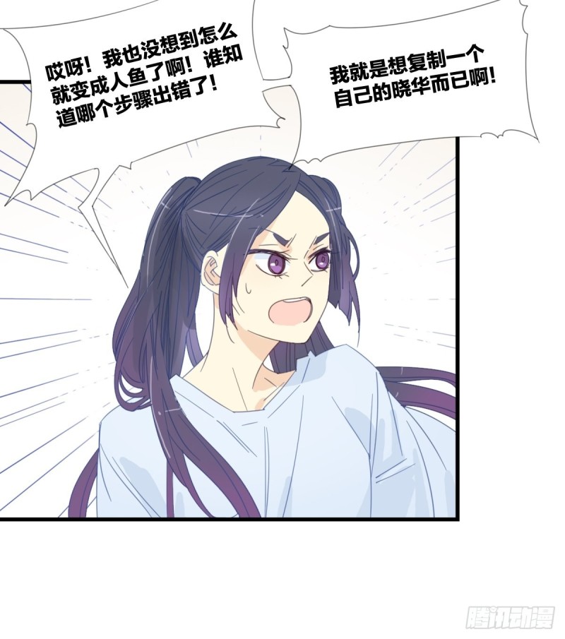 《家养美人》第十四话 第5页