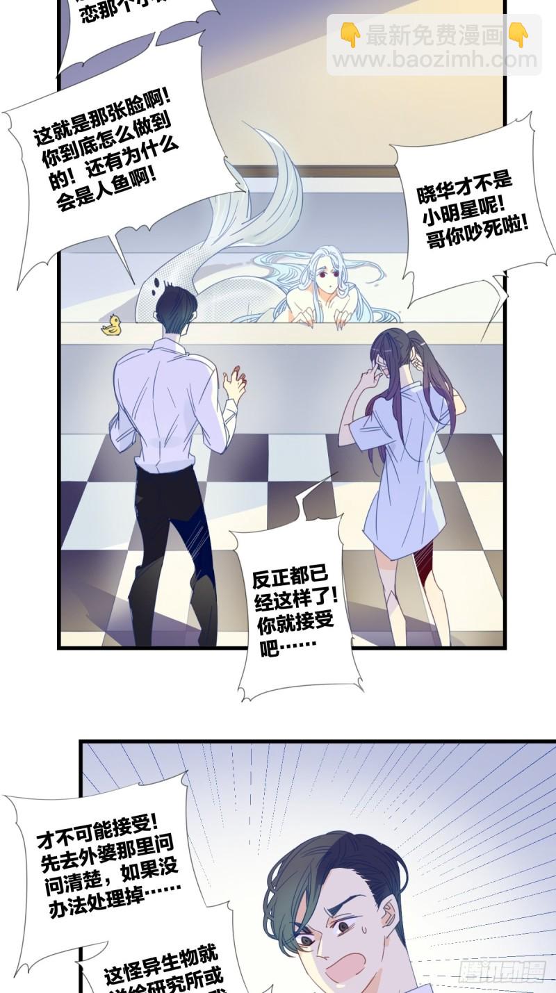 《家养美人》第十四话 第7页