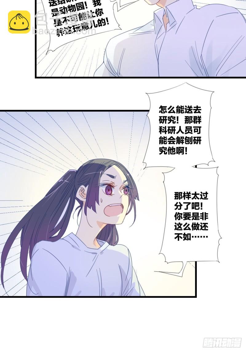 《家养美人》第十四话 第8页