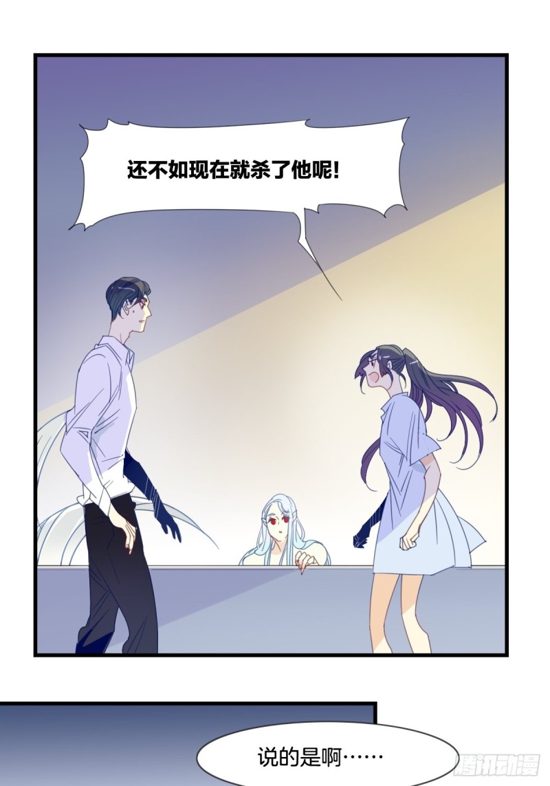《家养美人》第十四话 第9页