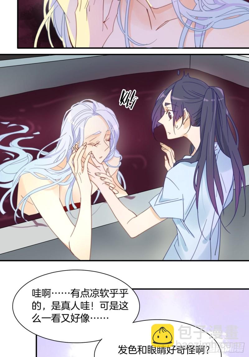 《家养美人》第十二话 第12页