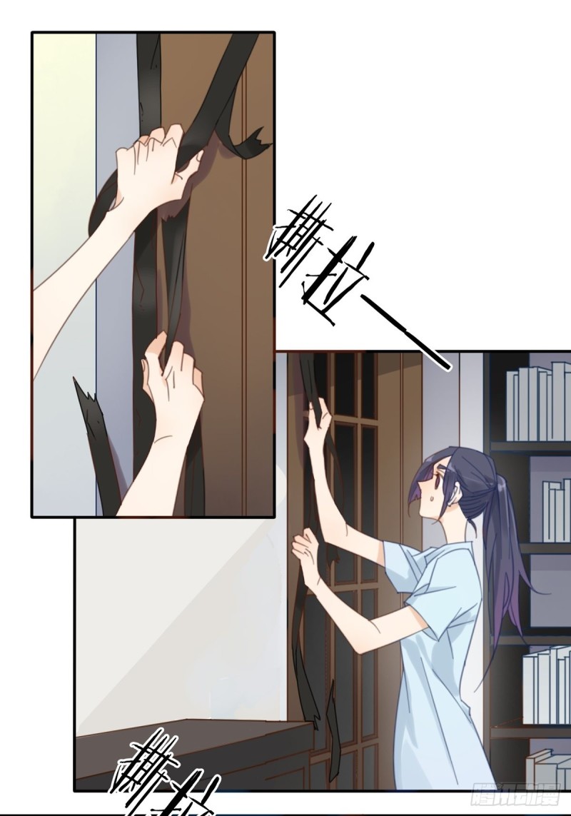 《家养美人》第十二话 第2页