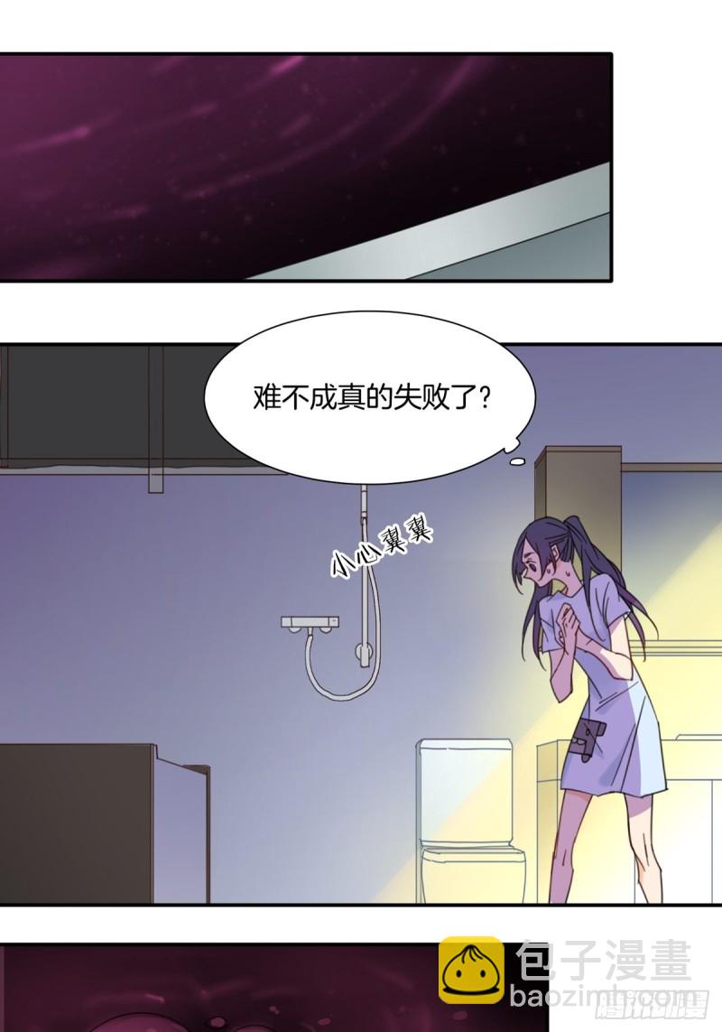 《家养美人》第十二话 第5页