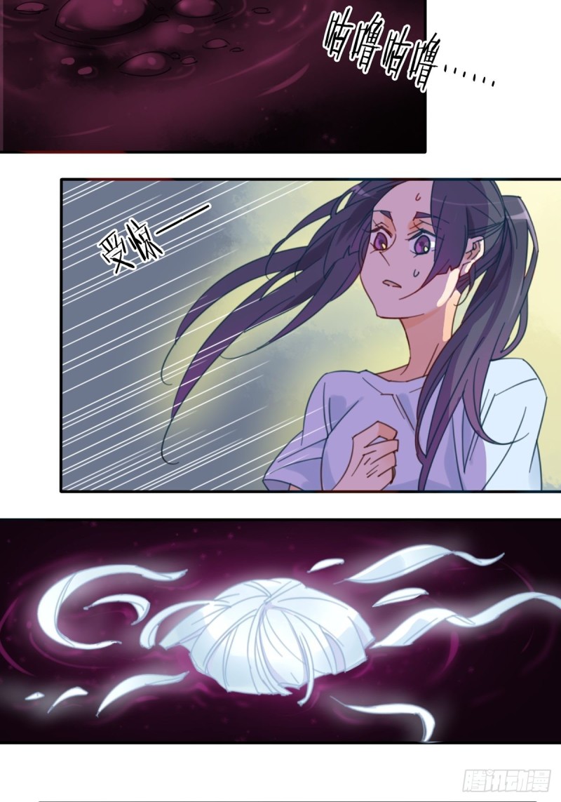 《家养美人》第十二话 第6页