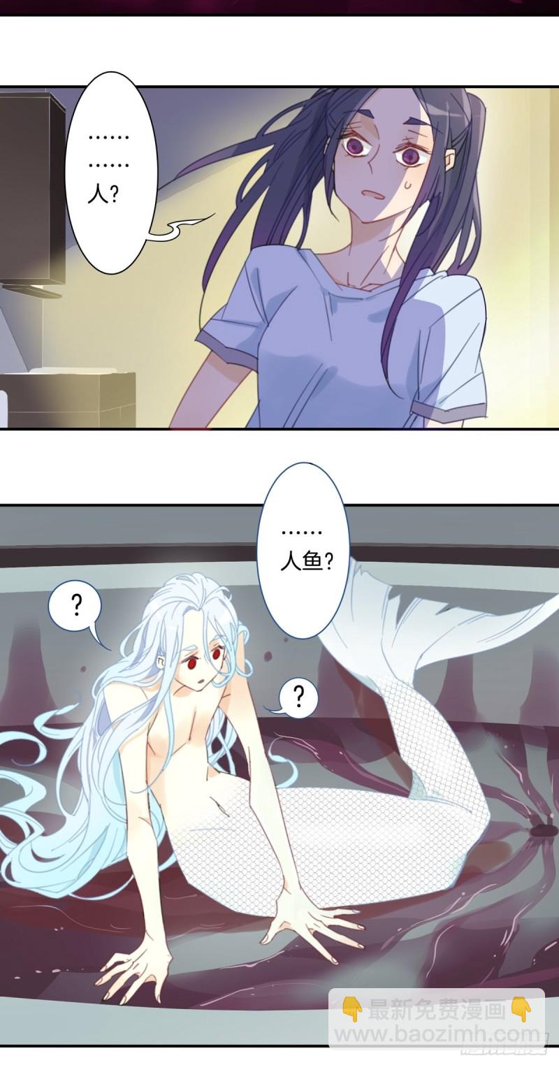 《家养美人》第十三话 第10页