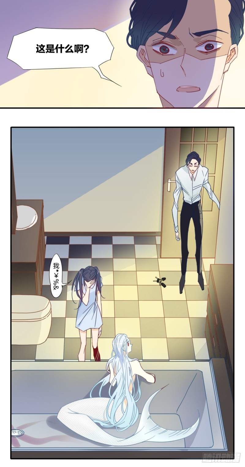 《家养美人》第十三话 第13页
