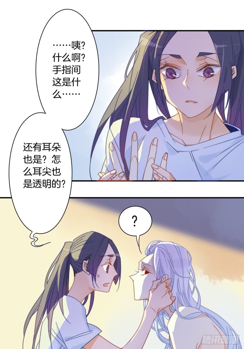 《家养美人》第十三话 第2页