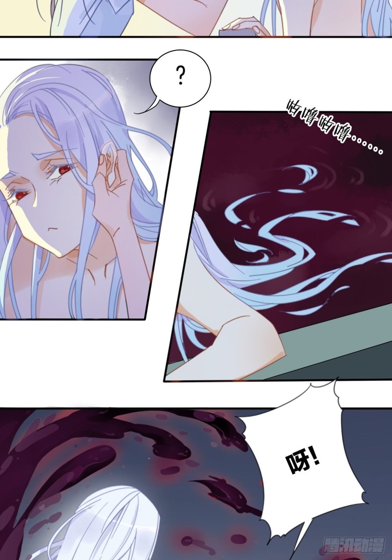 《家养美人》第十三话 第3页