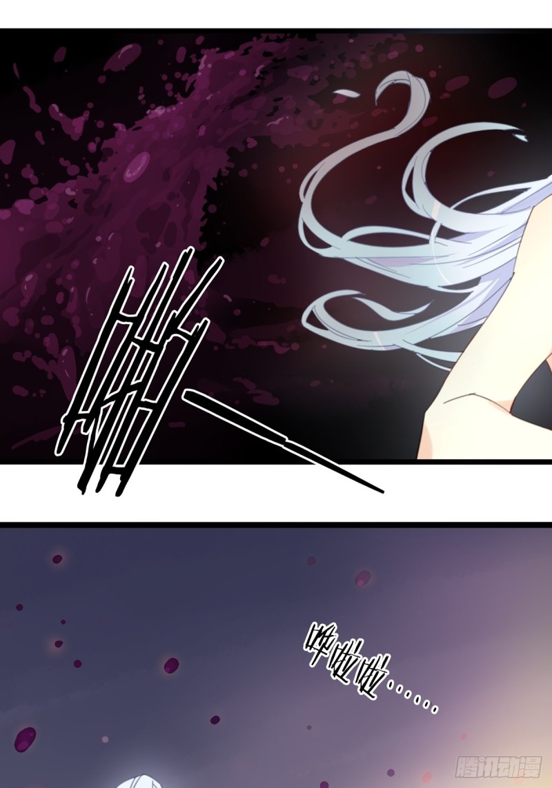《家养美人》第十三话 第5页