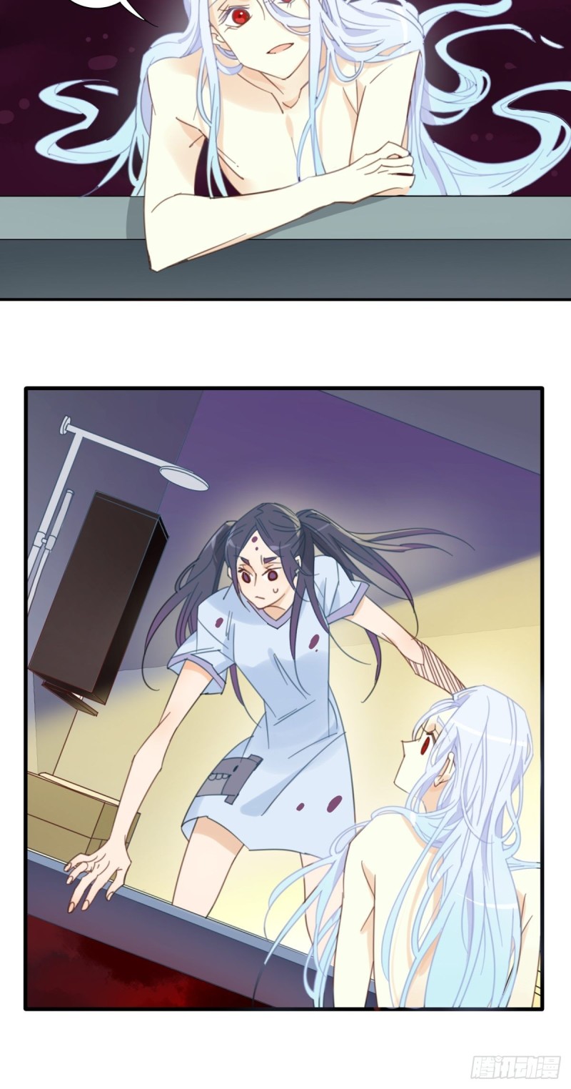 《家养美人》第十三话 第7页