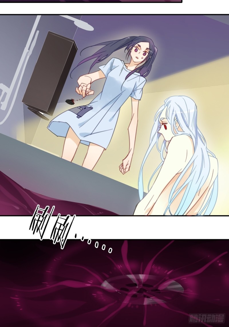 《家养美人》第十三话 第9页