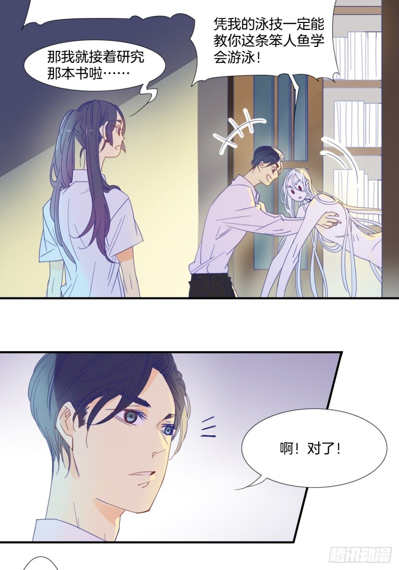 《家养美人》第十八话 第11页