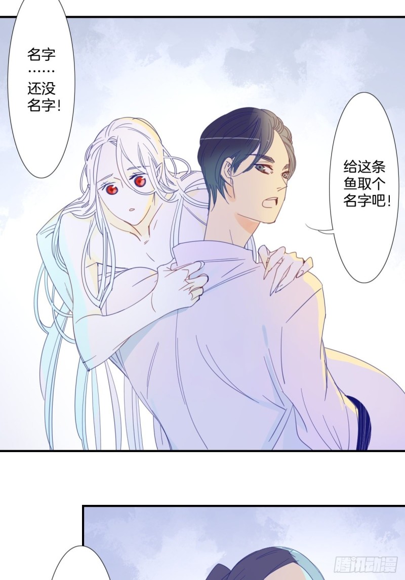 《家养美人》第十八话 第12页