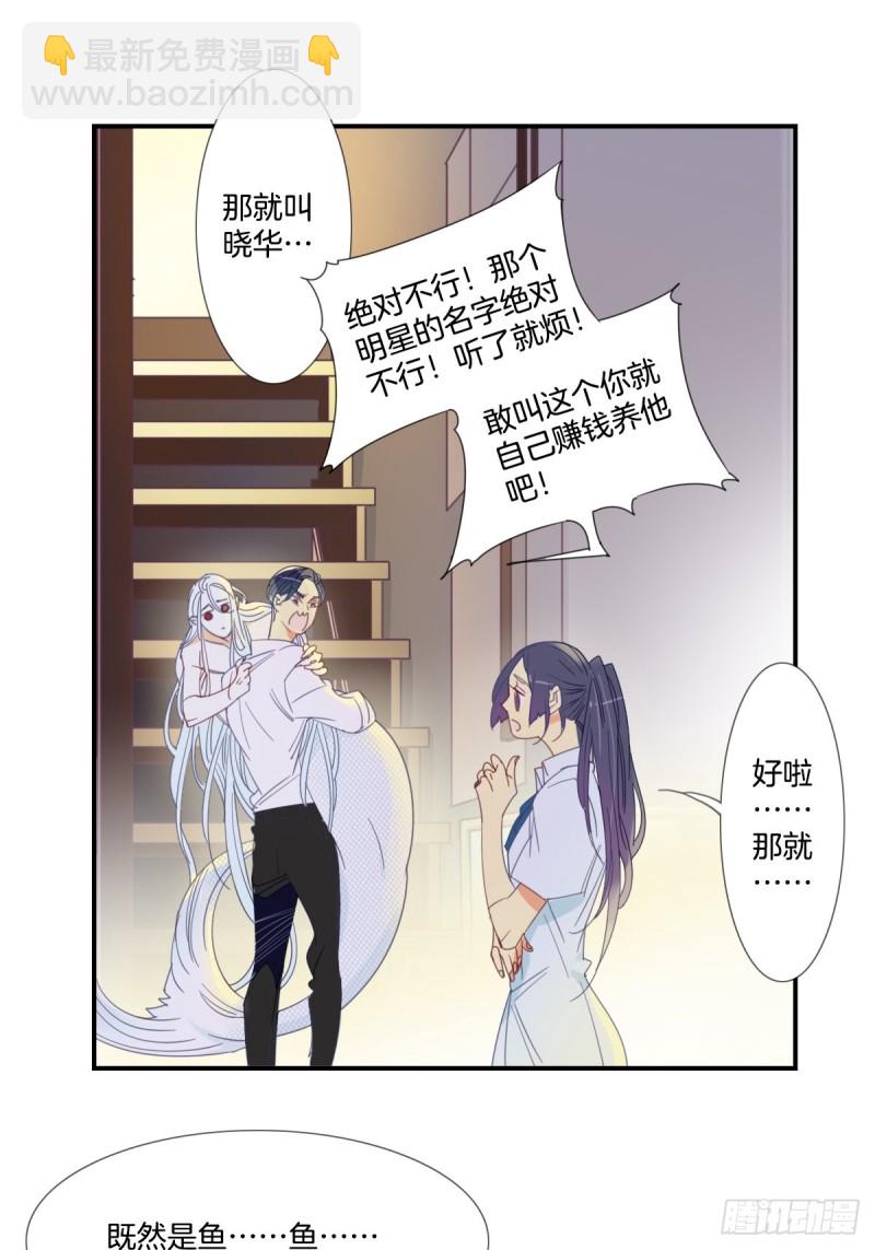 《家养美人》第十八话 第14页