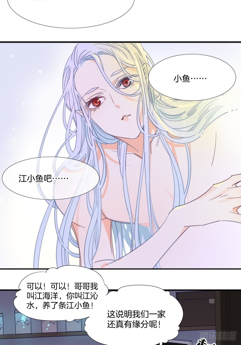 《家养美人》第十八话 第15页