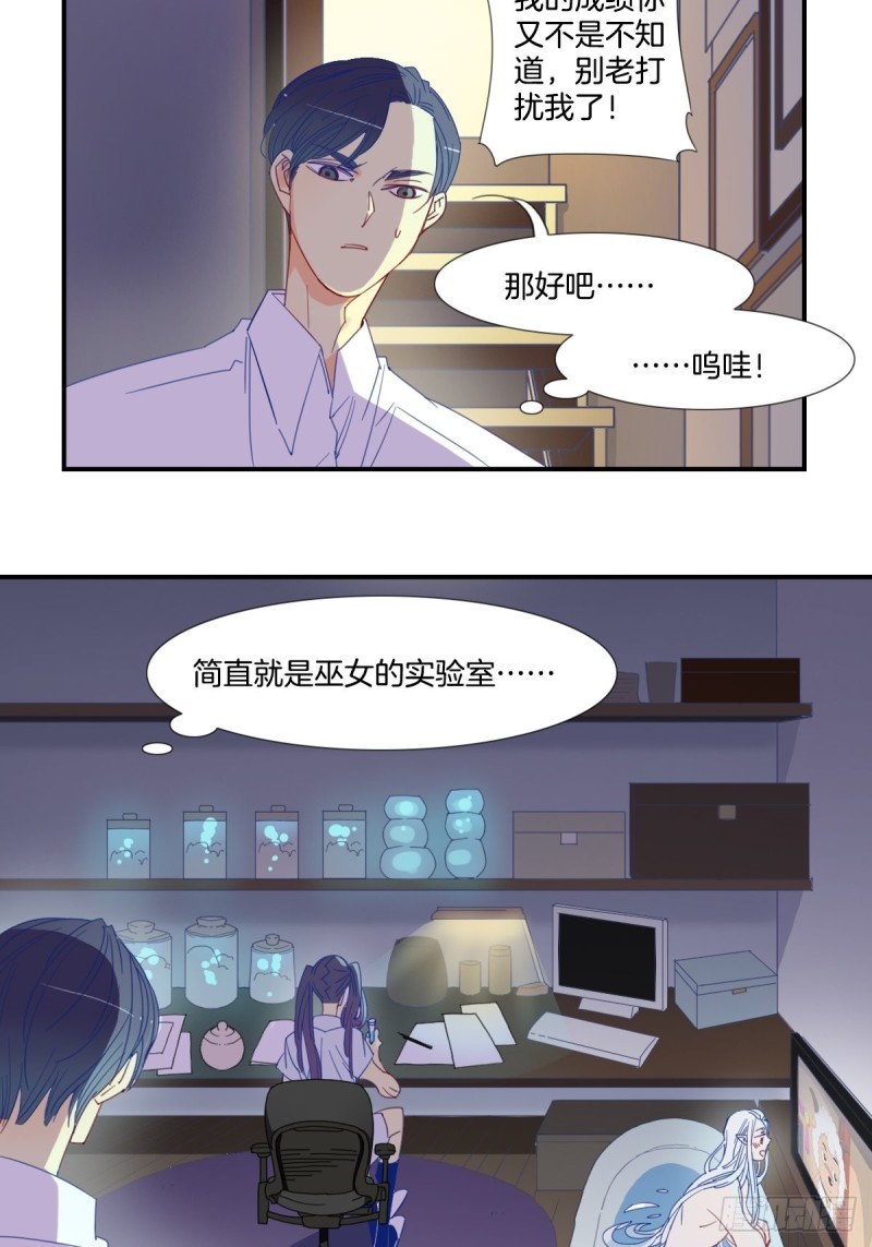 《家养美人》第十八话 第3页