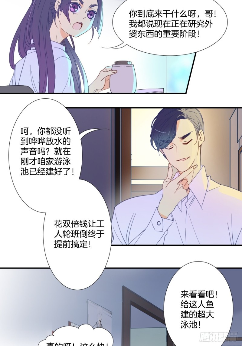 《家养美人》第十八话 第7页