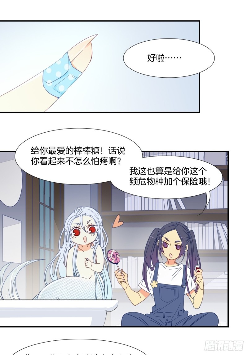 《家养美人》第十九话 第10页