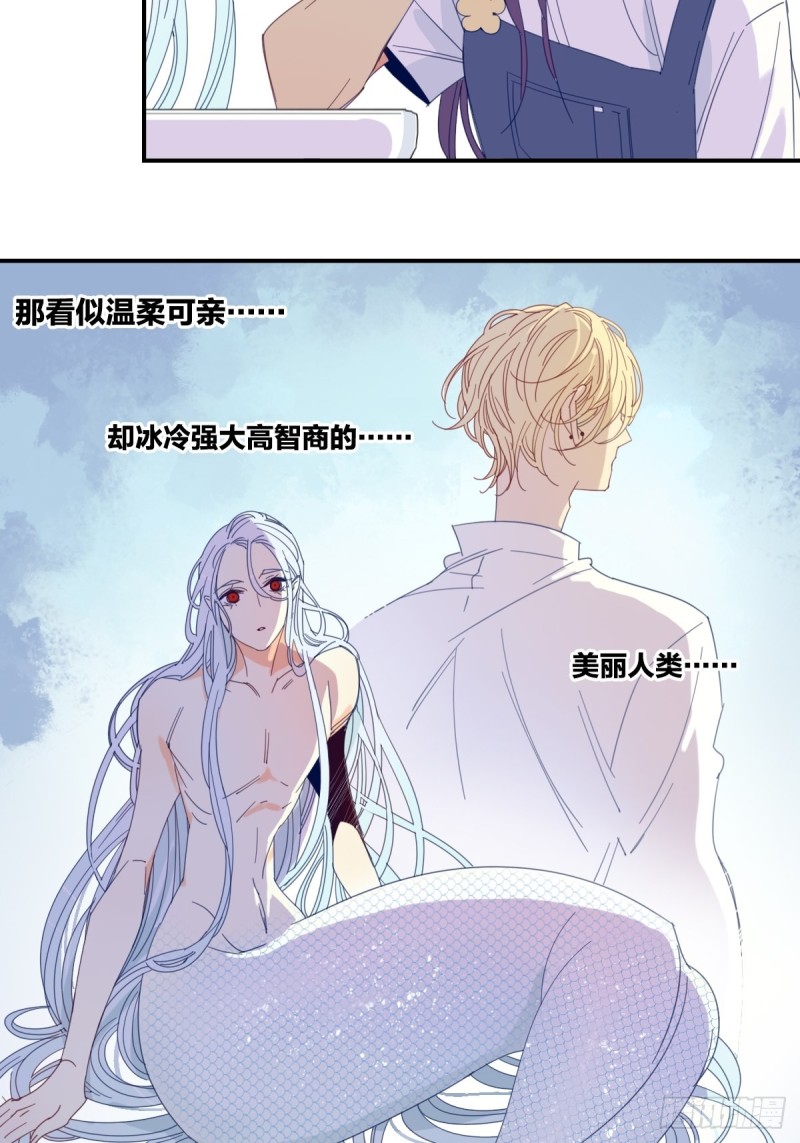 《家养美人》第十九话 第12页