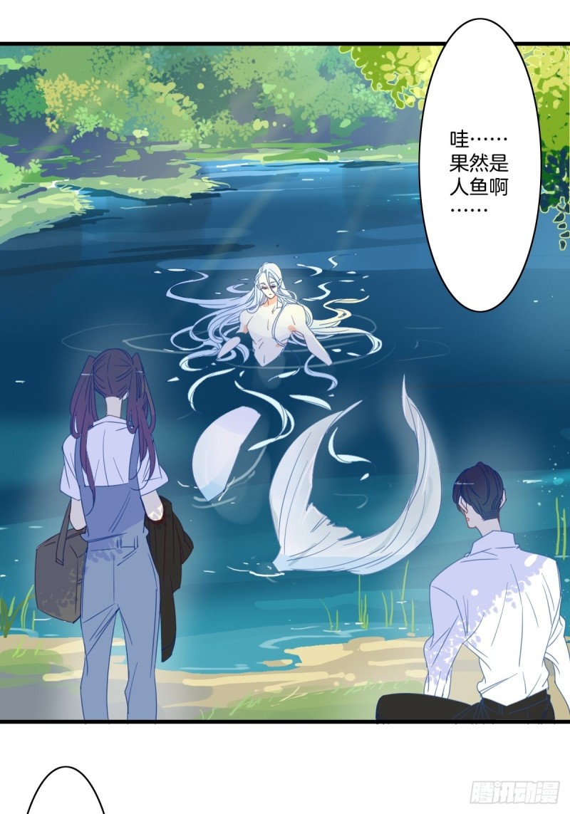 《家养美人》第十六话 第10页