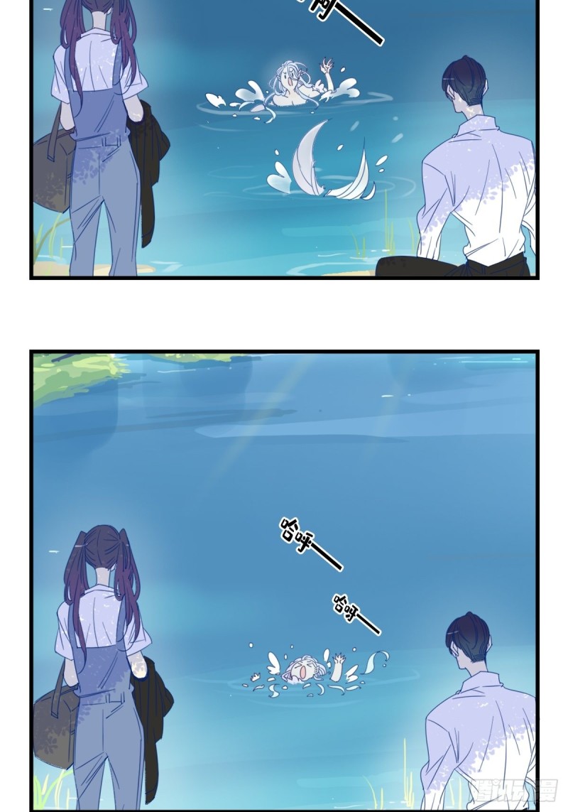 《家养美人》第十六话 第12页