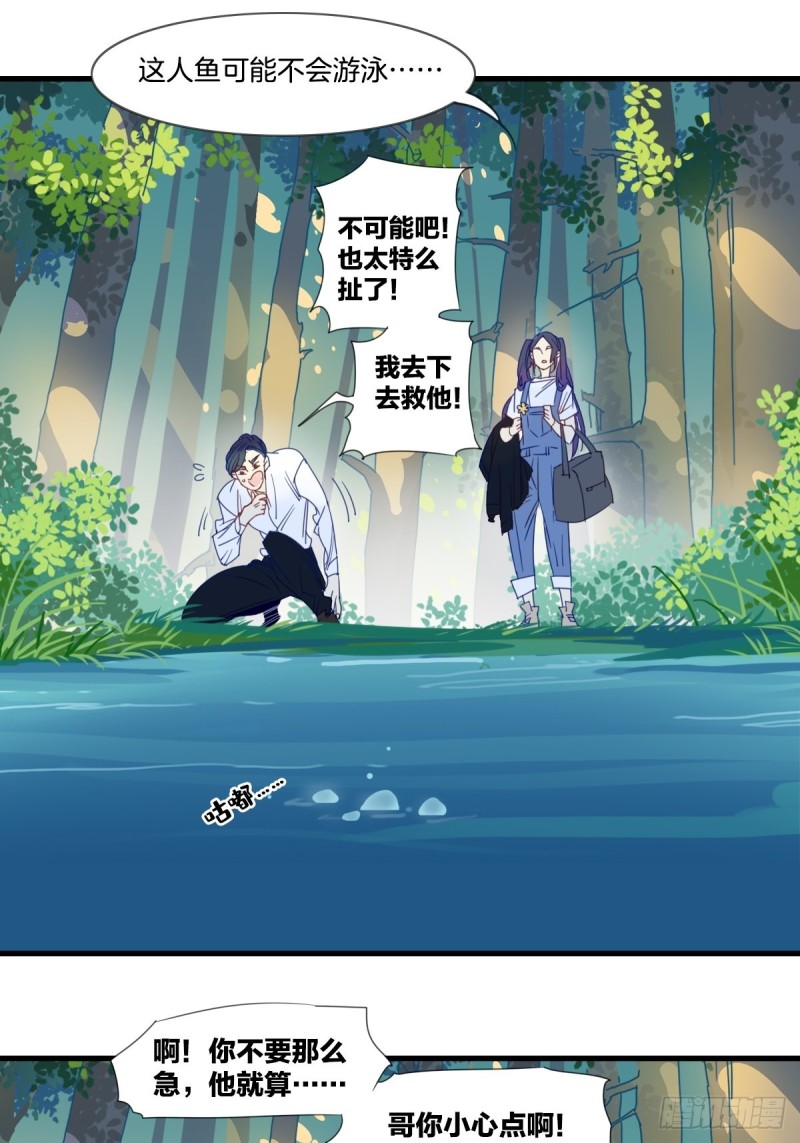《家养美人》第十六话 第14页