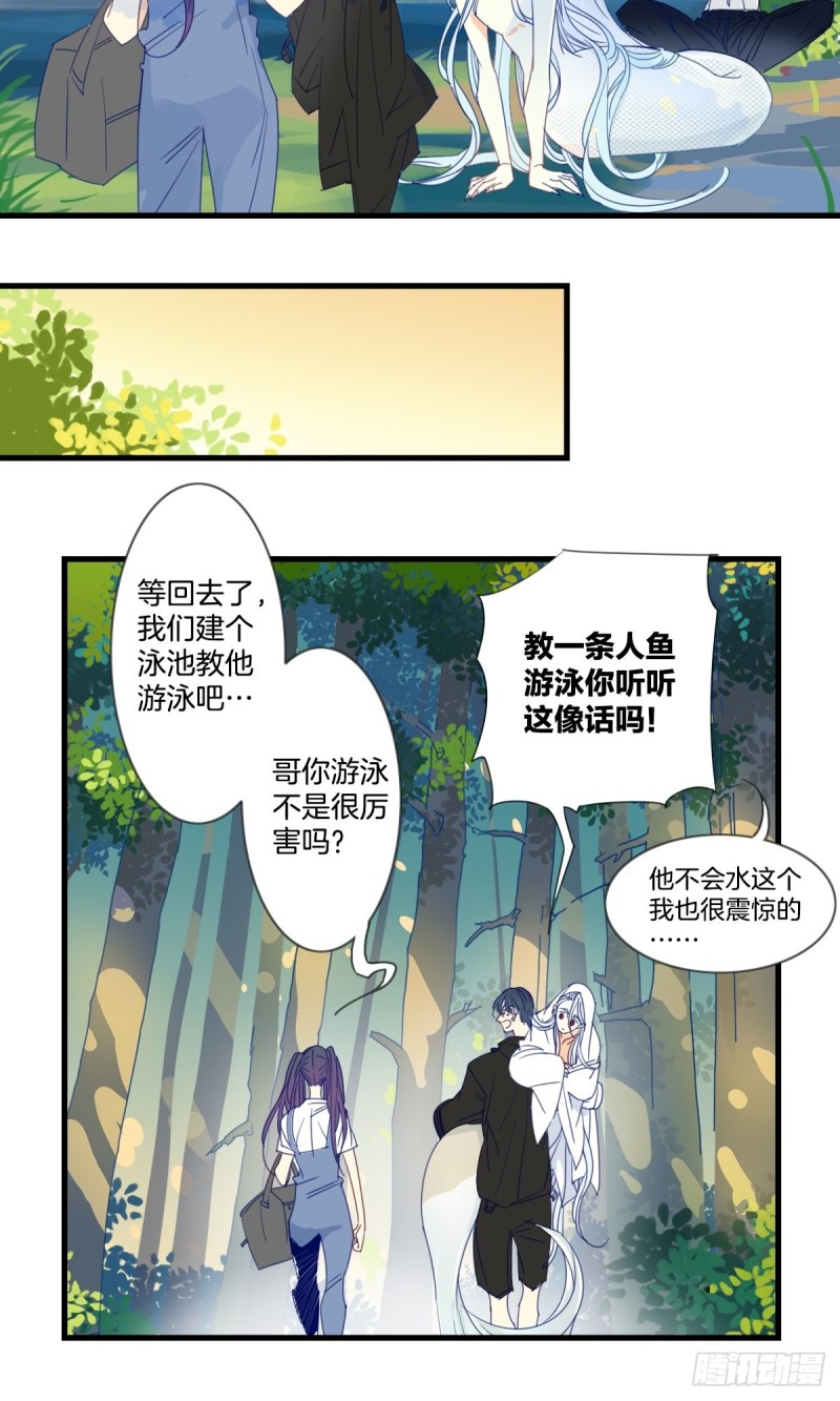 《家养美人》第十六话 第17页