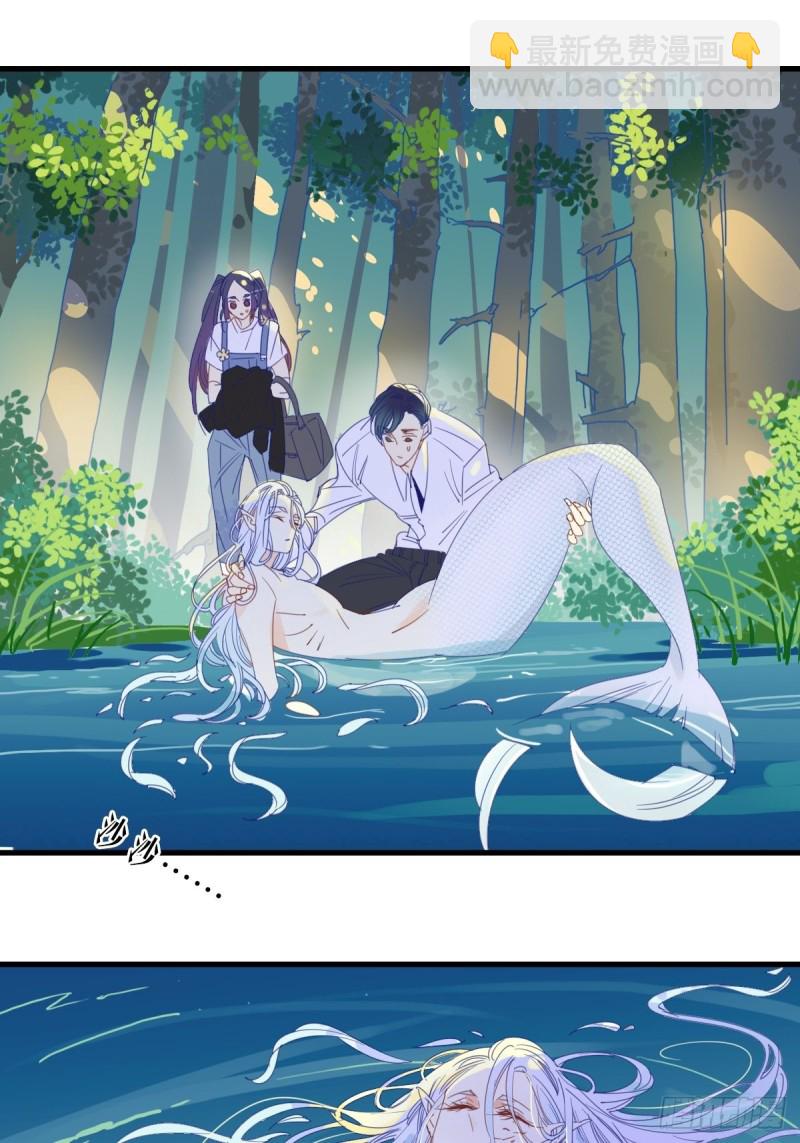 《家养美人》第十六话 第7页