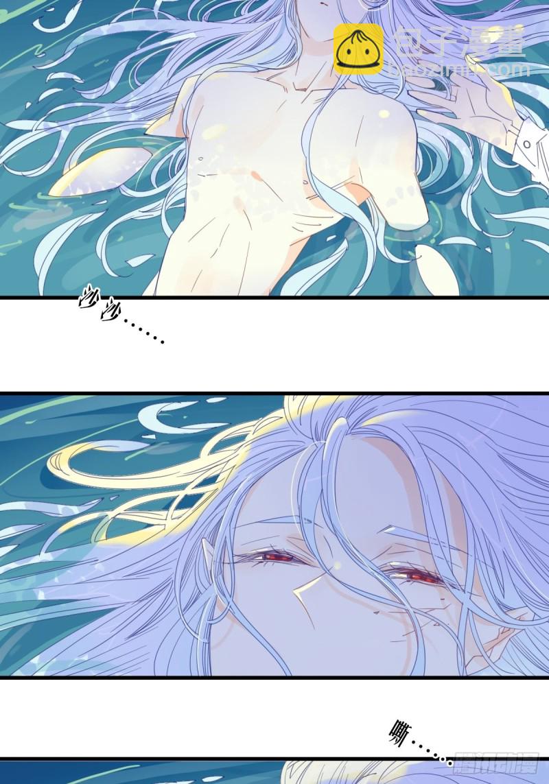 《家养美人》第十六话 第8页
