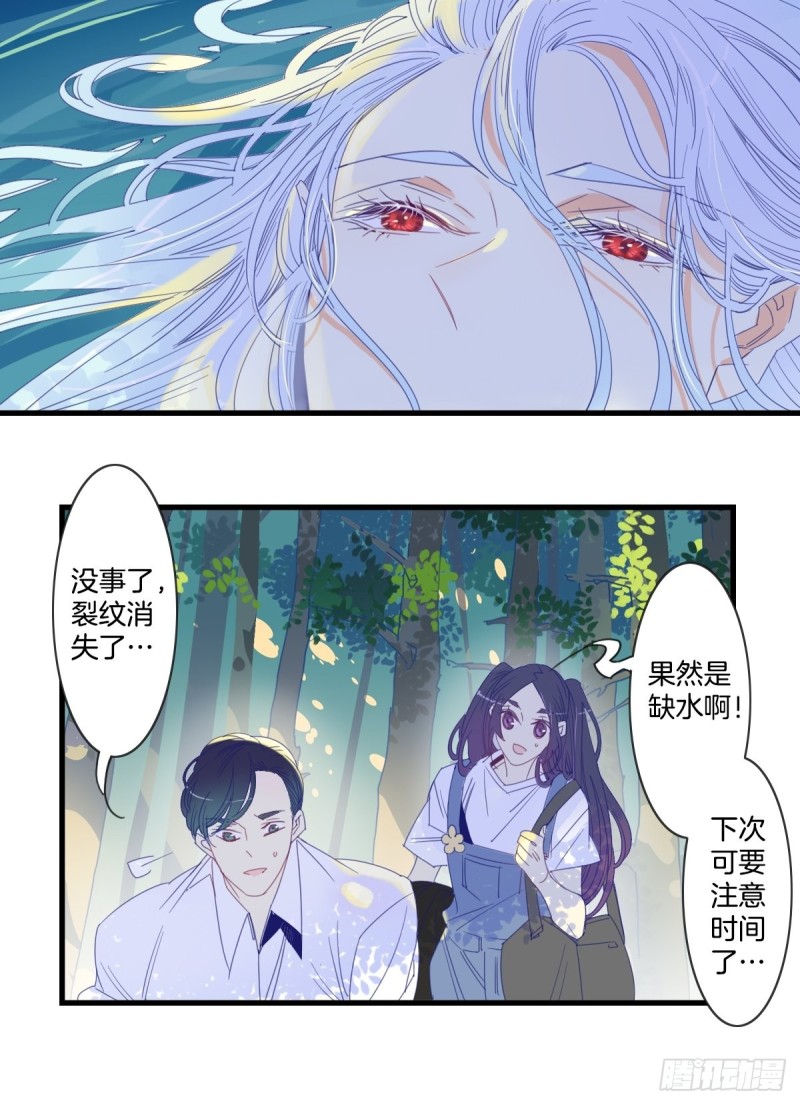 《家养美人》第十六话 第9页