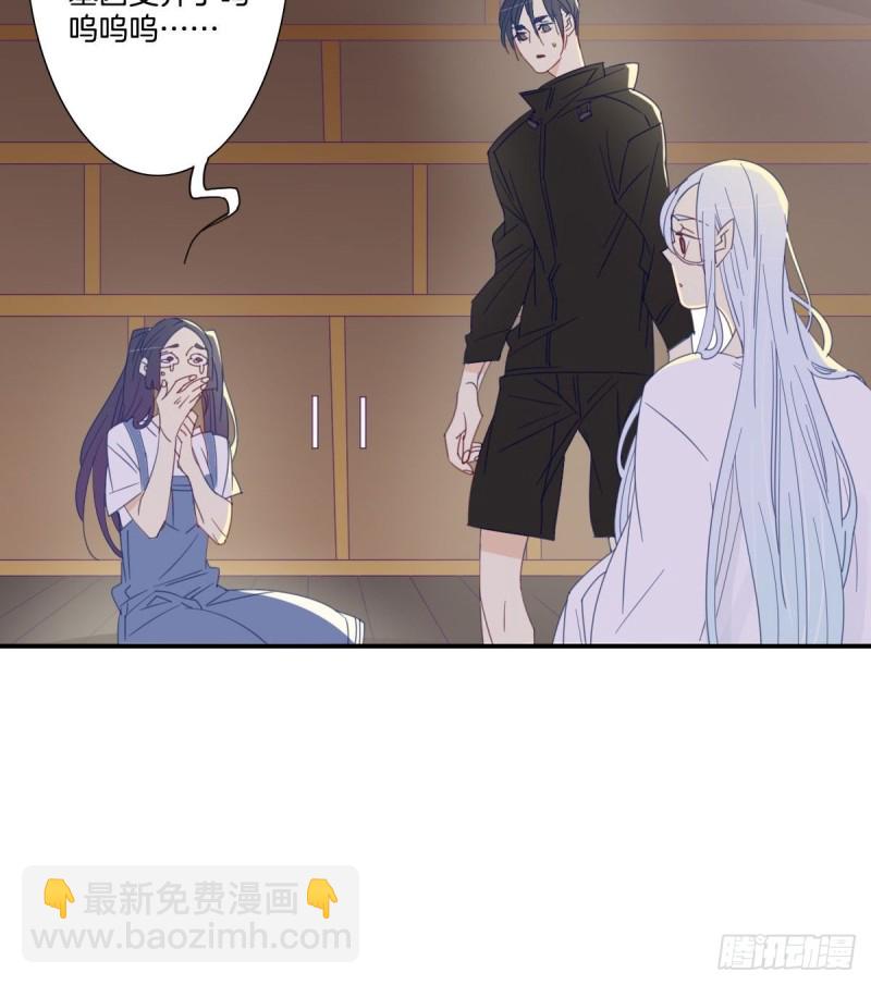 《家养美人》第十七话 第13页