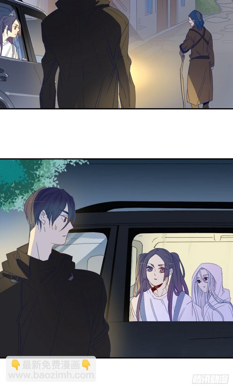《家养美人》第十七话 第5页