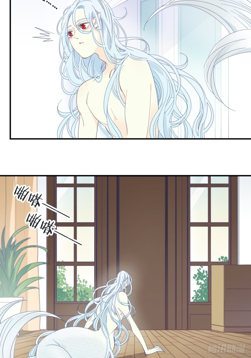 《家养美人》二十二话 第11页