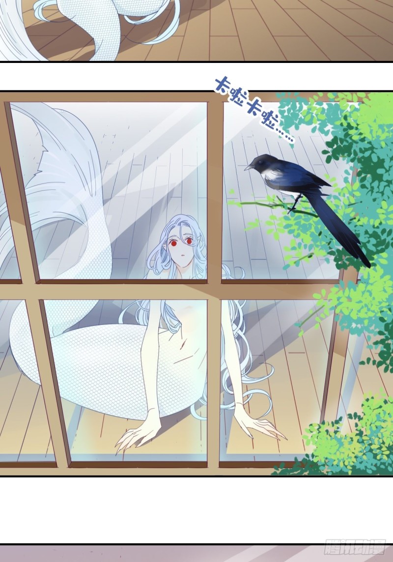 《家养美人》二十二话 第12页