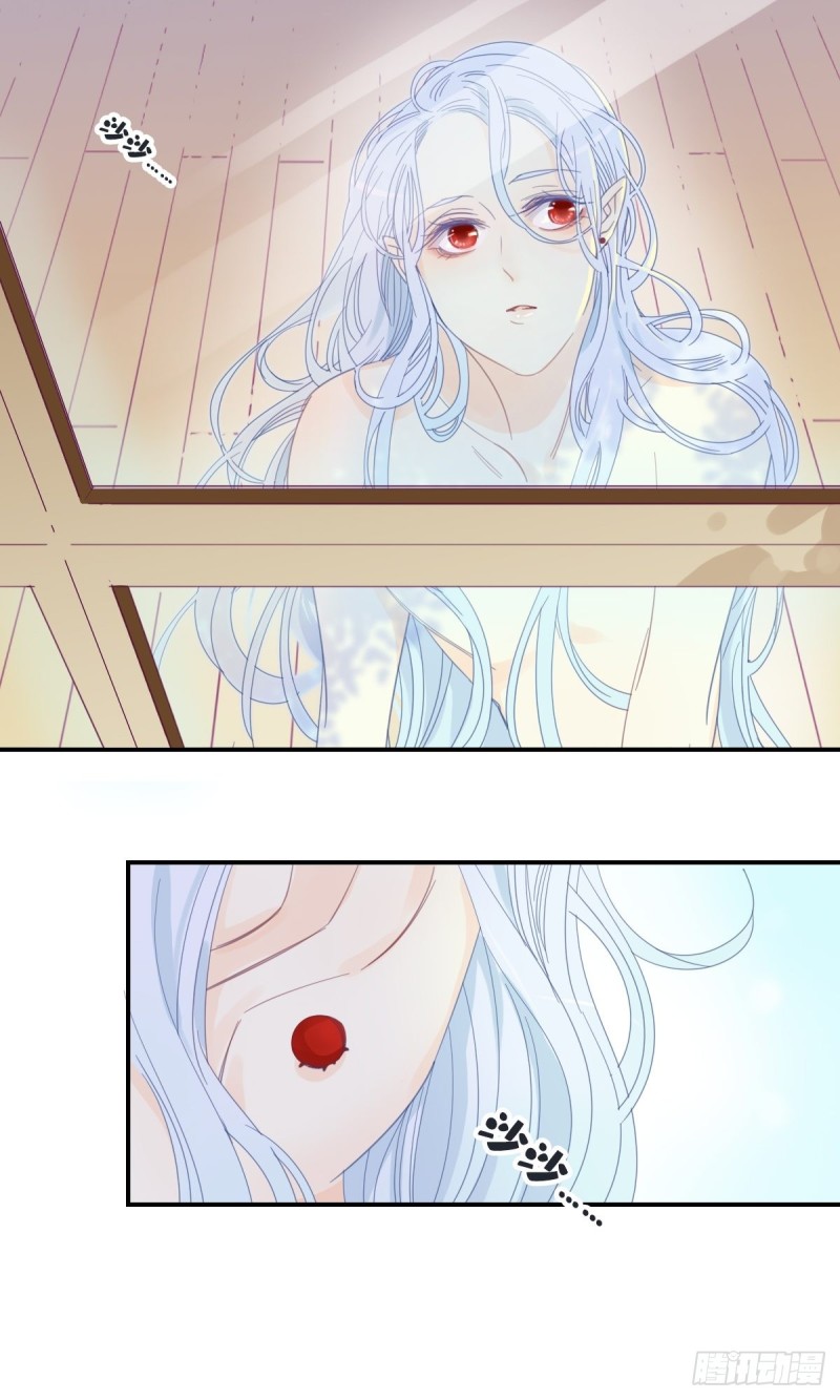 《家养美人》二十二话 第13页