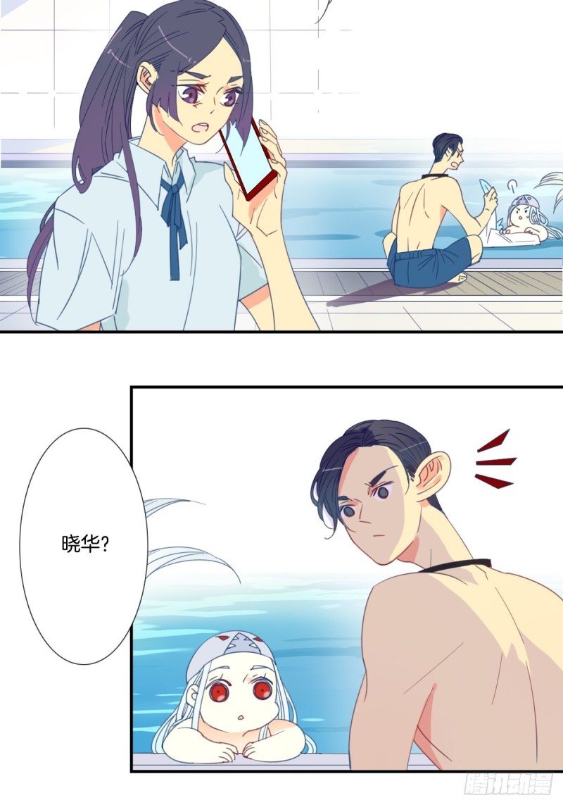 《家养美人》第二十话 第11页