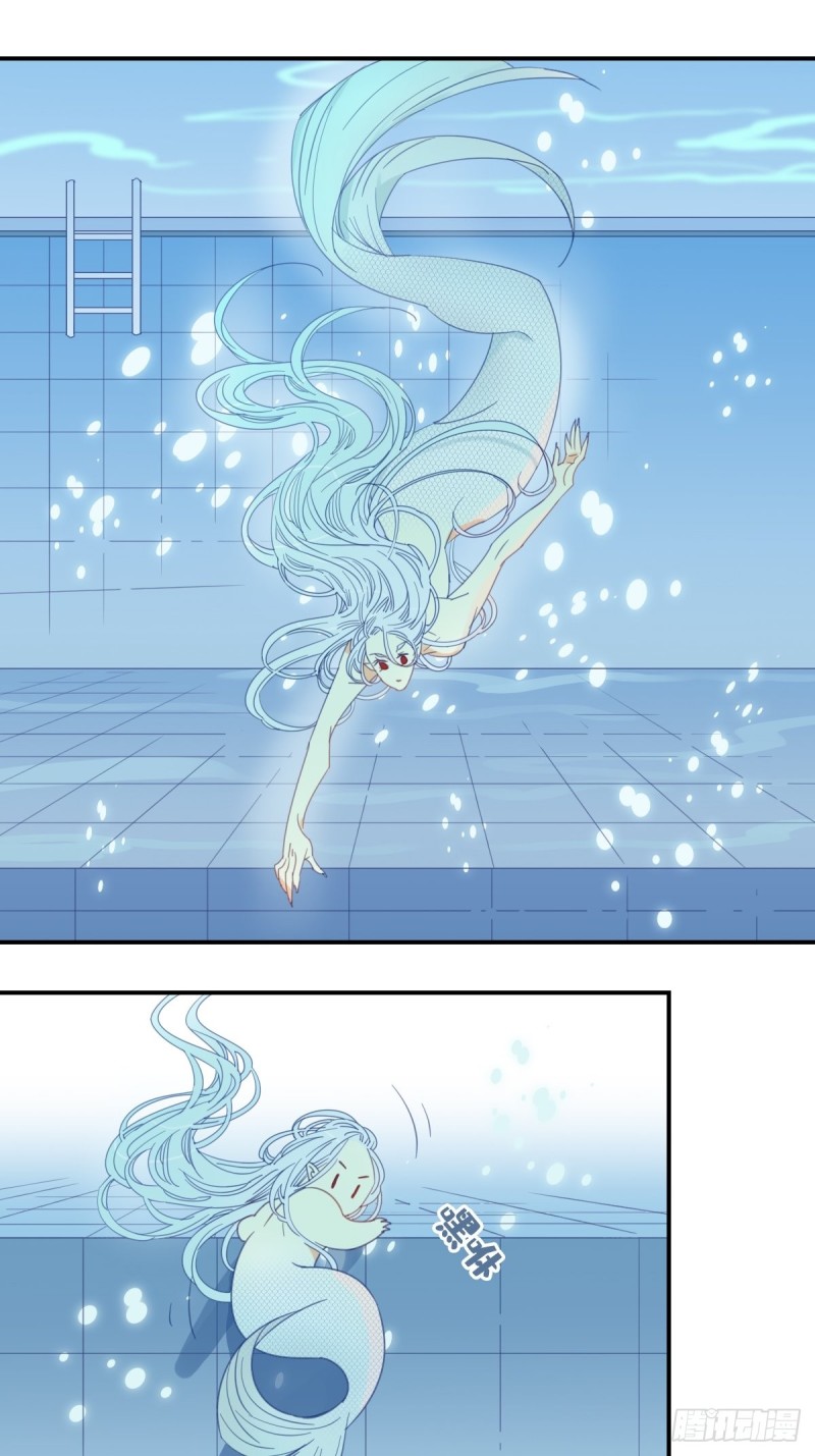 《家养美人》第二十话 第22页