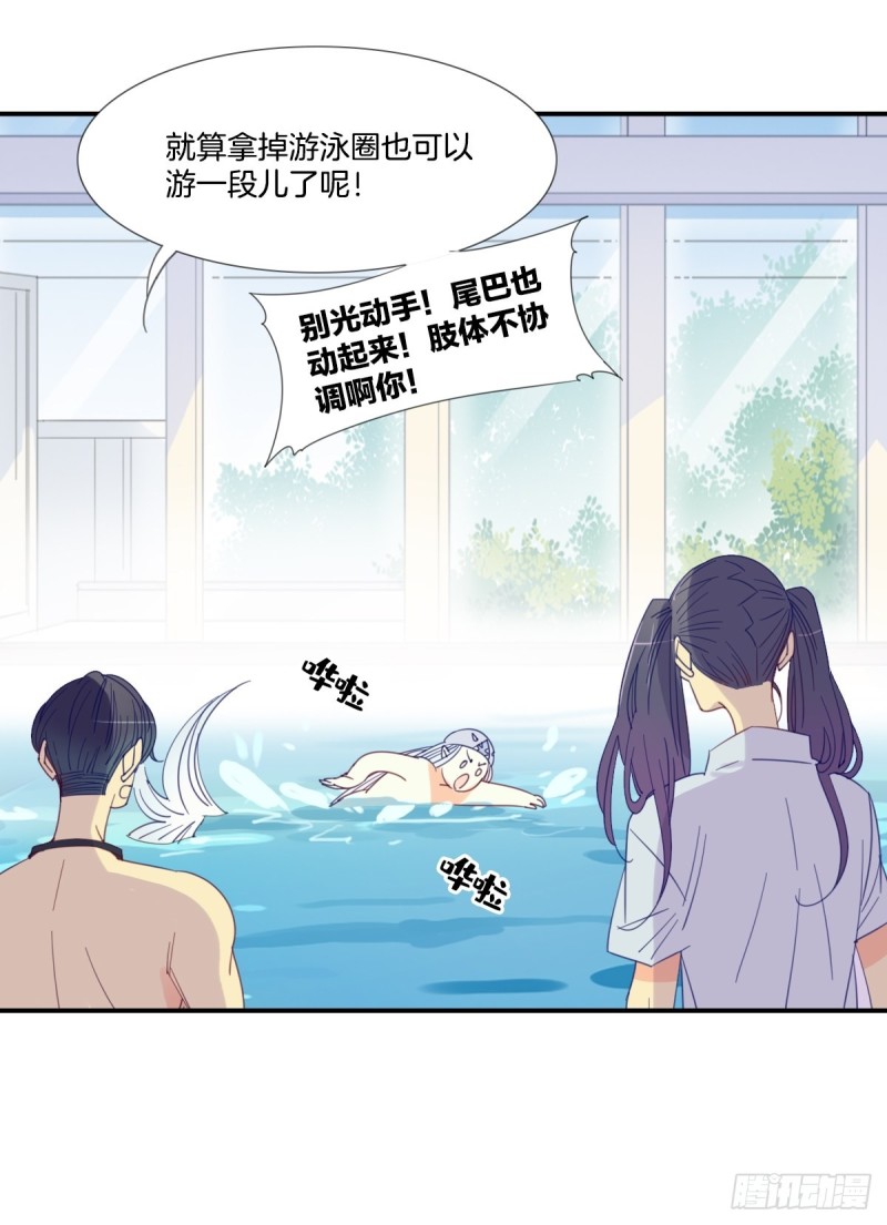 《家养美人》第二十话 第5页