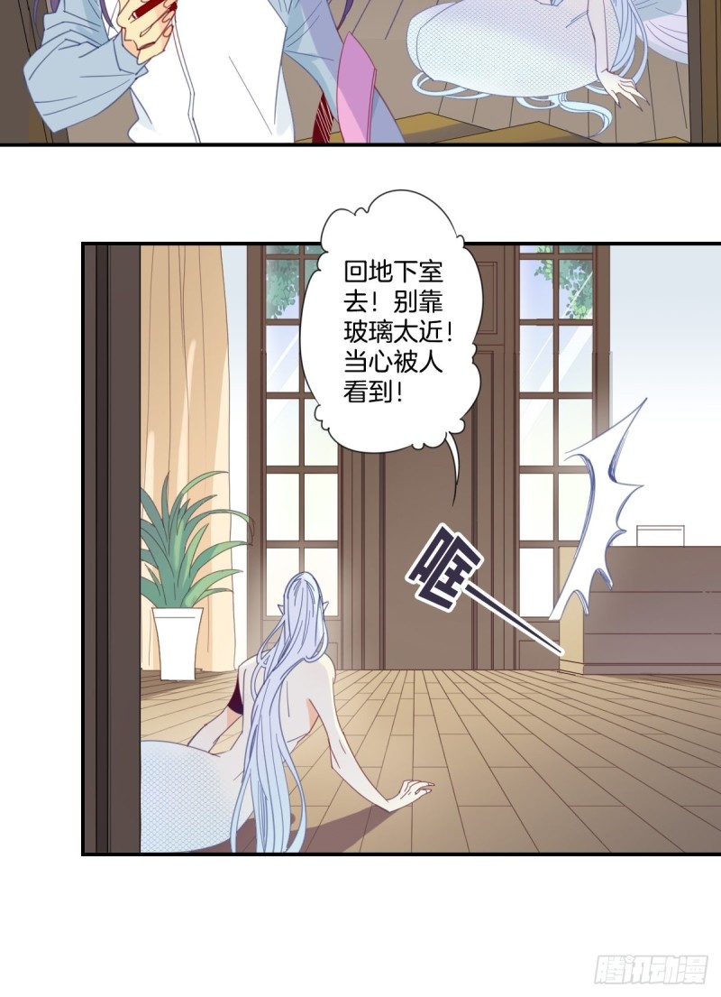 《家养美人》第二十一话 第13页