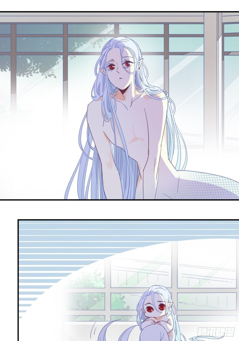 《家养美人》第二十一话 第14页