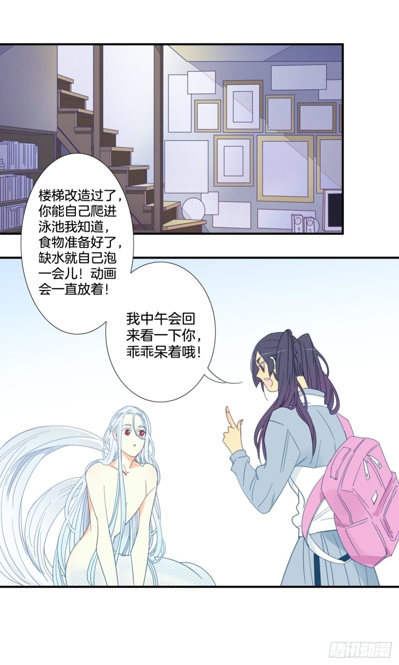《家养美人》第二十一话 第5页