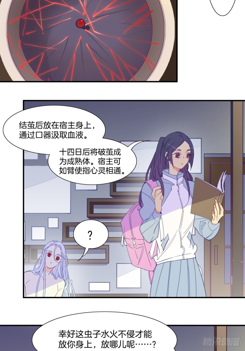 《家养美人》第二十一话 第7页