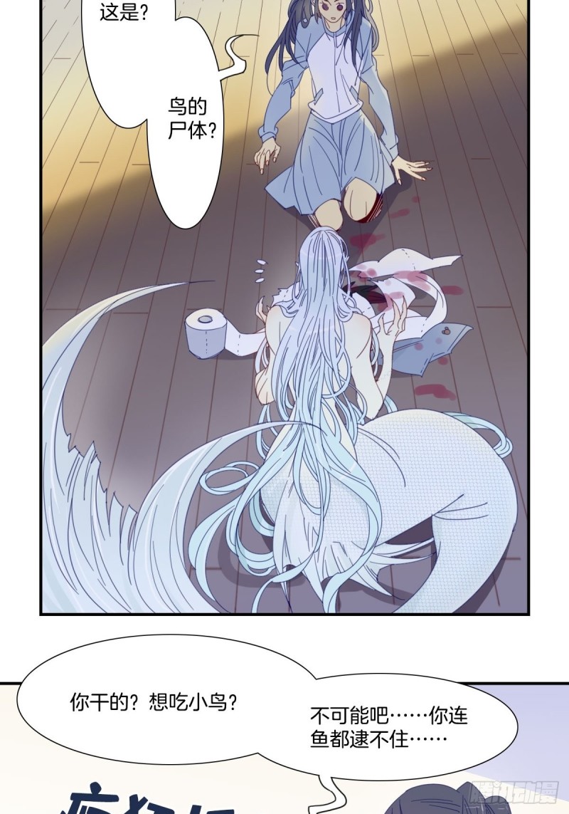 《家养美人》二十三话 第12页