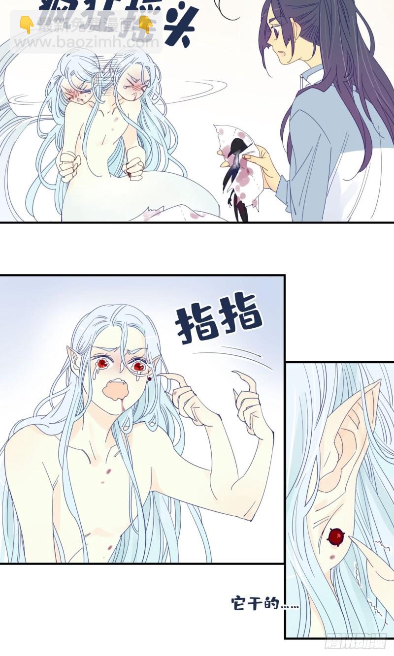 《家养美人》二十三话 第13页