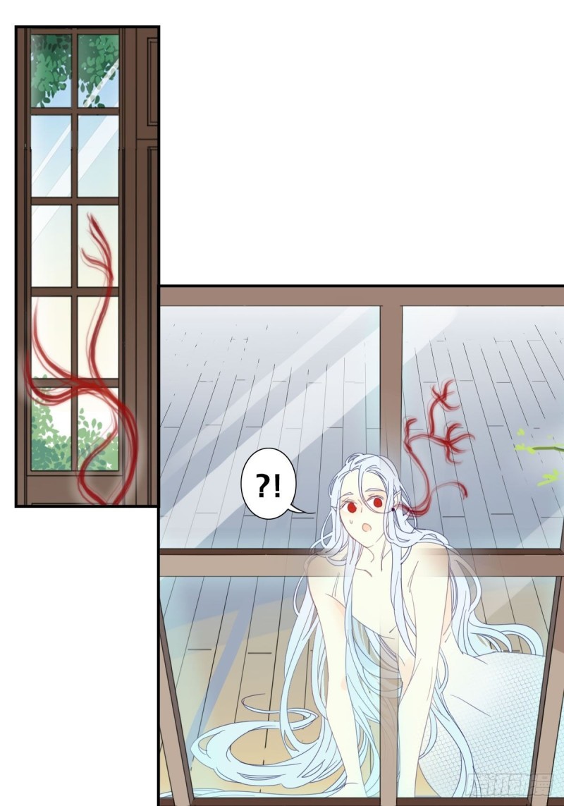 《家养美人》二十三话 第14页