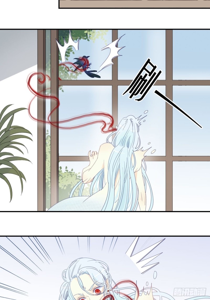 《家养美人》二十三话 第15页