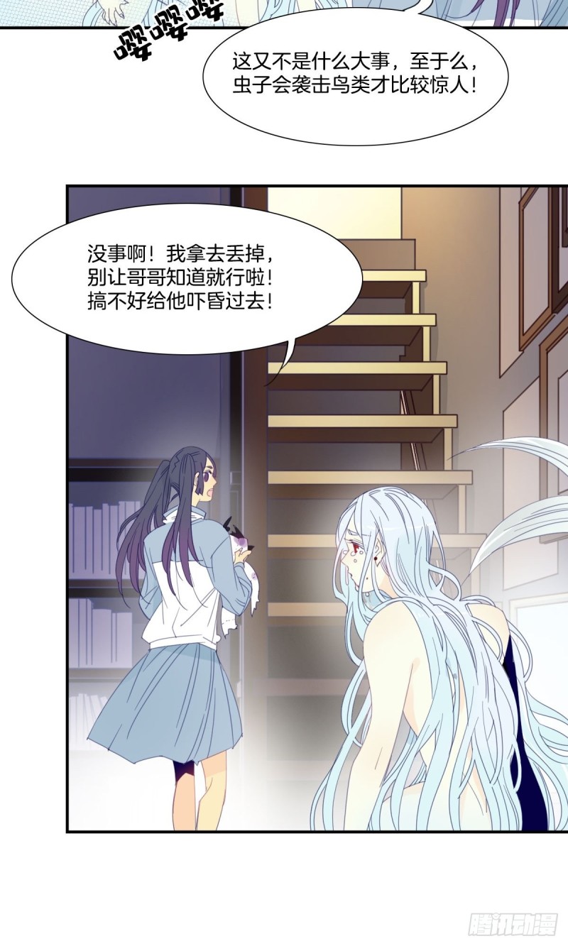 《家养美人》二十三话 第17页