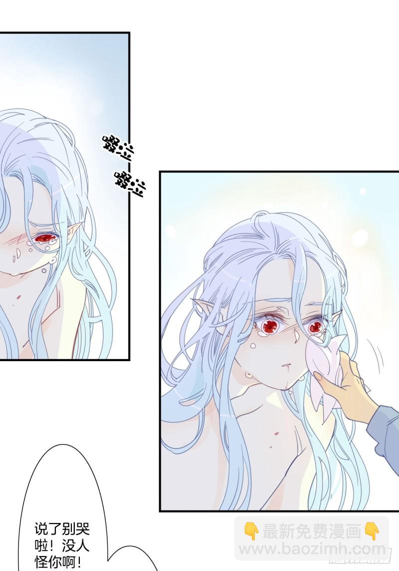 《家养美人》二十三话 第18页